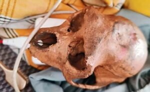 Delhi Airport Skull Mystery: बैग में खोपड़ी लेकर एयरपोर्ट पहुंचा यात्री! CISF ने देखा तो उड़ गए होश, पूछताछ में खोला राज 1 WhatsApp Image 2026 08 12 at 10.30.28 1 2