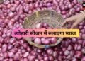 Onion price: त्योहारी सीजन में रुलाएगा प्याज, जानें क्यों बढ़े अचानक प्याज के दाम ?