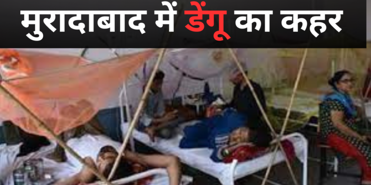 मुरादाबाद में डेंगू का कहर