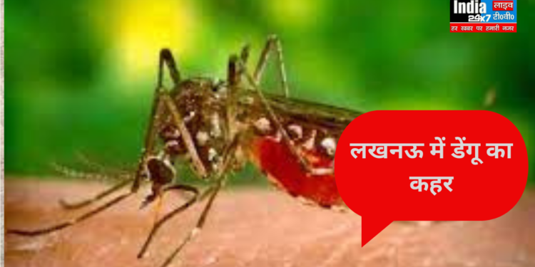 लखनऊ में डेंगू का कहर, मोहनलालगंज के सिसेंडी में युवक की मौत