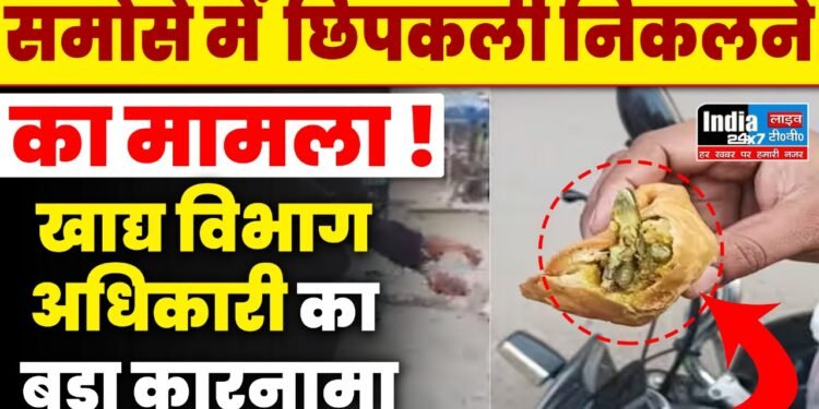 UP News: समोसे में निकली छिपकली पर खाद्य विभाग की बेशर्मी- Viral हुआ हापुड़ का पूजा स्वीट हाउस