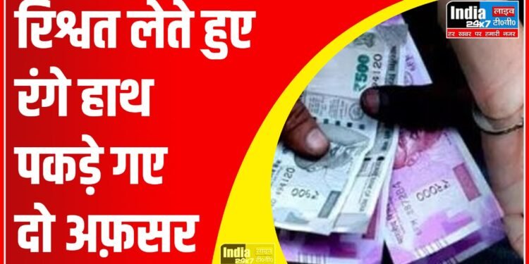 Greater Noida: एंटी करप्शन टीम का बड़ा एक्शन! वन विभाग के दो वन दरोगा रिश्वत लेते गिरफ्तार