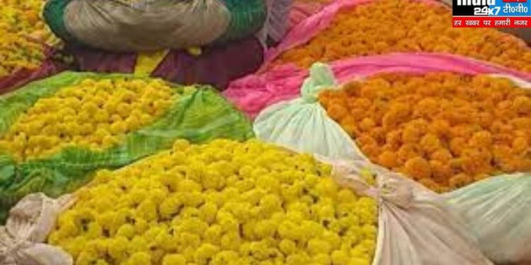 Dev Dipawali In Varanasi: 11 टन फूलों से सजेगा बाबा विश्वनाथ का दरबार, दूसरे राज्यों से मंगाए गए फूल