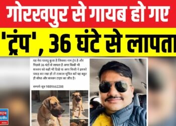 Gorakhpur News: गोरखपुर से गायब हो गए 'ट्रंप', 36 घंटे से लापता, पार्षद ने फेसबुक पर लिखा ……
