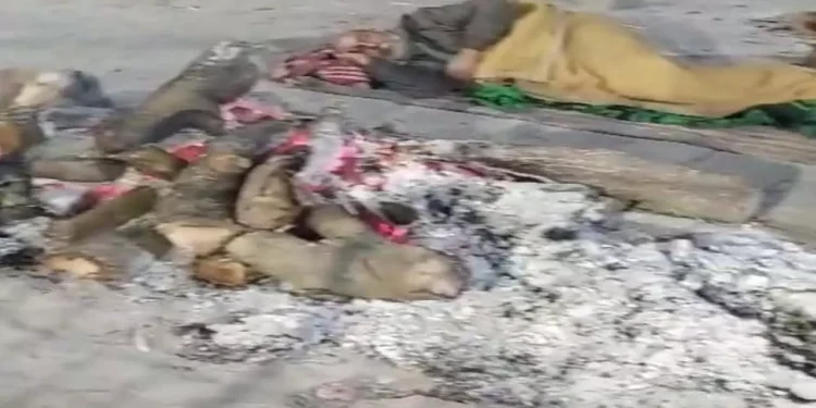 Kanpur News: ठंड का कहर! जलती चिता के पास लेट गया बुजुर्ग, वीडियो वायरल 1 Kanpur News: ठंड का कहर! जलती चिता के पास लेट गया बुजुर्ग, वीडियो वायरल