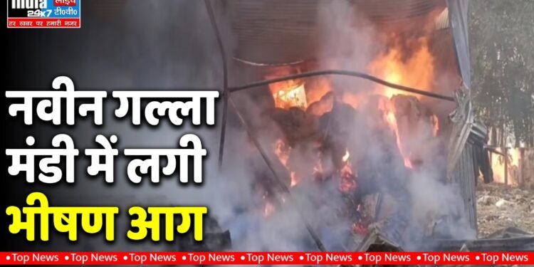 Hardoi News: नवीन गल्ला मंडी में लगी भीषण आग! दमकल की पाँच गाड़ियां मौके पर मौजूद 1 Hardoi News: नवीन गल्ला मंडी में लगी भीषण आग! दमकल की पाँच गाड़ियां मौके पर मौजूद