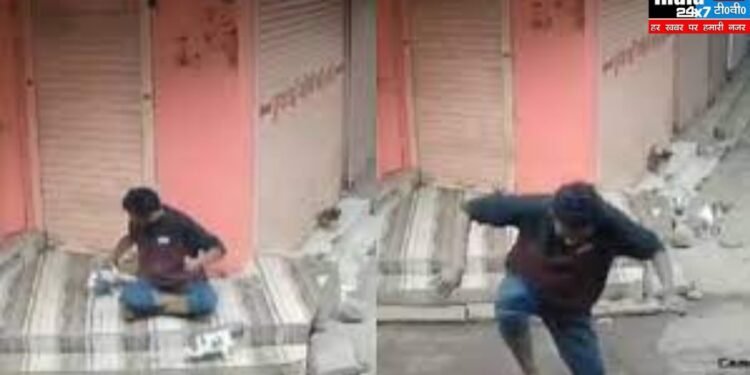 Guna Madhya Pradesh: पिल्ले के साथ बर्बरता देख दहल गए ज्योतिरादित्य, सीएम शिवराज बोले- हो रही है कार्रवाई