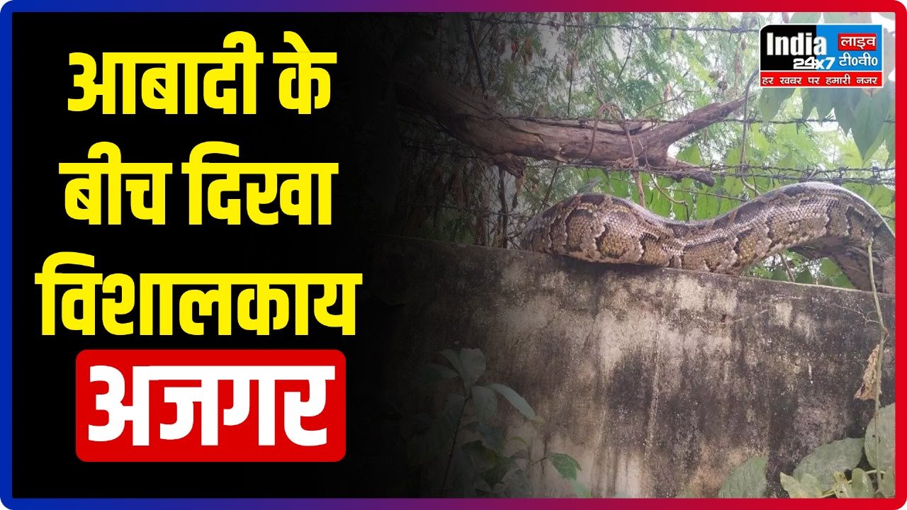 Meerut News : मेरठ में आबादी के बीच विशालकाय अजगर देख लोगों में मचा हड़कंप