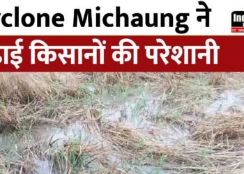 Cyclone Michuang: किसान परेशान! चक्रवाती तूफान मिचौंग से छत्तीसगढ़ में फसलों को भारी नुकसान