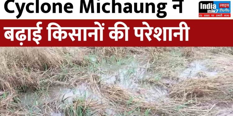 Cyclone Michuang: किसान परेशान! चक्रवाती तूफान मिचौंग से छत्तीसगढ़ में फसलों को भारी नुकसान