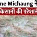 Cyclone Michuang: किसान परेशान! चक्रवाती तूफान मिचौंग से छत्तीसगढ़ में फसलों को भारी नुकसान