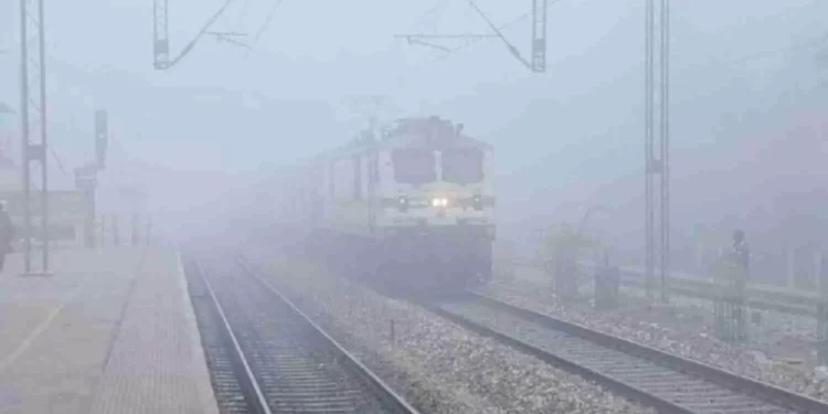 Train Delay: घने कोहरे के कारण लेट चल रही कई ट्रेनें, रेलवे ने जारी की लिस्ट 1 Train Delay: घने कोहरे के कारण लेट चल रही कई ट्रेनें, रेलवे ने जारी की लिस्ट