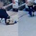 Bareilly News: मॉर्निंग वॉक पर जा रहें बुजुर्ग पर सांड ने किया हमला, घटना CCTV मे कैद