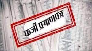 Raebareli News : बड़ा एक्शन ,रायबरेली में फर्जी जाति प्रमाण पत्र के सहारे जीता था नगर पंचायत अध्यक्ष का चुनाव 2 image 145