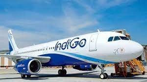 Indigo Airlines: रनवे पर खाना खाने के लिए मजबूर यात्रियों के मामले में एक्शन, मंत्रालय ने Indigo को जारी किया नोटिस 3 image 379