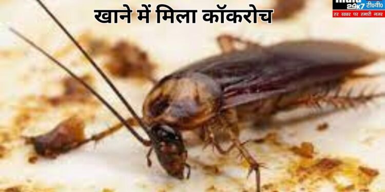 Bengaluru News: बेंगलुरु के होटल में खाने में मिला कॉकरोच, महिला ने वीडियो बनाया तो होटल स्टाफ ने की मारपीट!