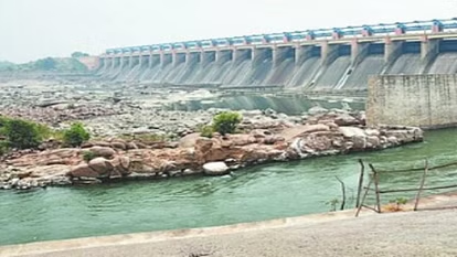 Jhansi News: माताटीला बांध में बचा सिर्फ 6.7 प्रतिशत पानी , दिखा गर्मी का कहर 3 image 37