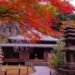 Divorce Temple Japan : यहाँ है तलाक मंदिर, जानिए इसका 700 साल पुराना है इतिहास