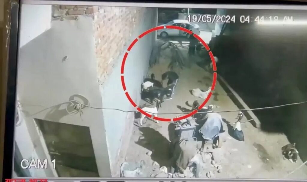 Ghaziabad News : अनोखा मामला ,लग्जरी कार से 12 बकरी चुराकर फरार हुए चोर 2 WhatsApp Image 2024 05 21 at 13.36.06