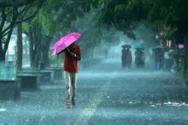 Monsoon updates : यूपी में मानसून की एंट्री, लखनऊ समेत कई जिलों में बारिश से मिली राहत 2 image 180