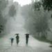 Monsoon in UP : यूपी के 36 जिलों में होगी झमाझम बरसात, IMD ने भारी बारिश की दी है चेतावनी