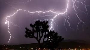 Weather: आसमान से बरस रही मौत! जानलेवा बना मानसून, यूपी, बिहार समेत झारखंड में 75 से ज्यादा की गई जान 2 image 160