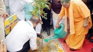 Lucknow News : CM योगी ने अकबर नगर में किया पौधरोपण, प्रदेश भर में ''पेड़ लगाओ-पेड़ बचाओ'' अभियान का किया शुभारंभ 3 image 256