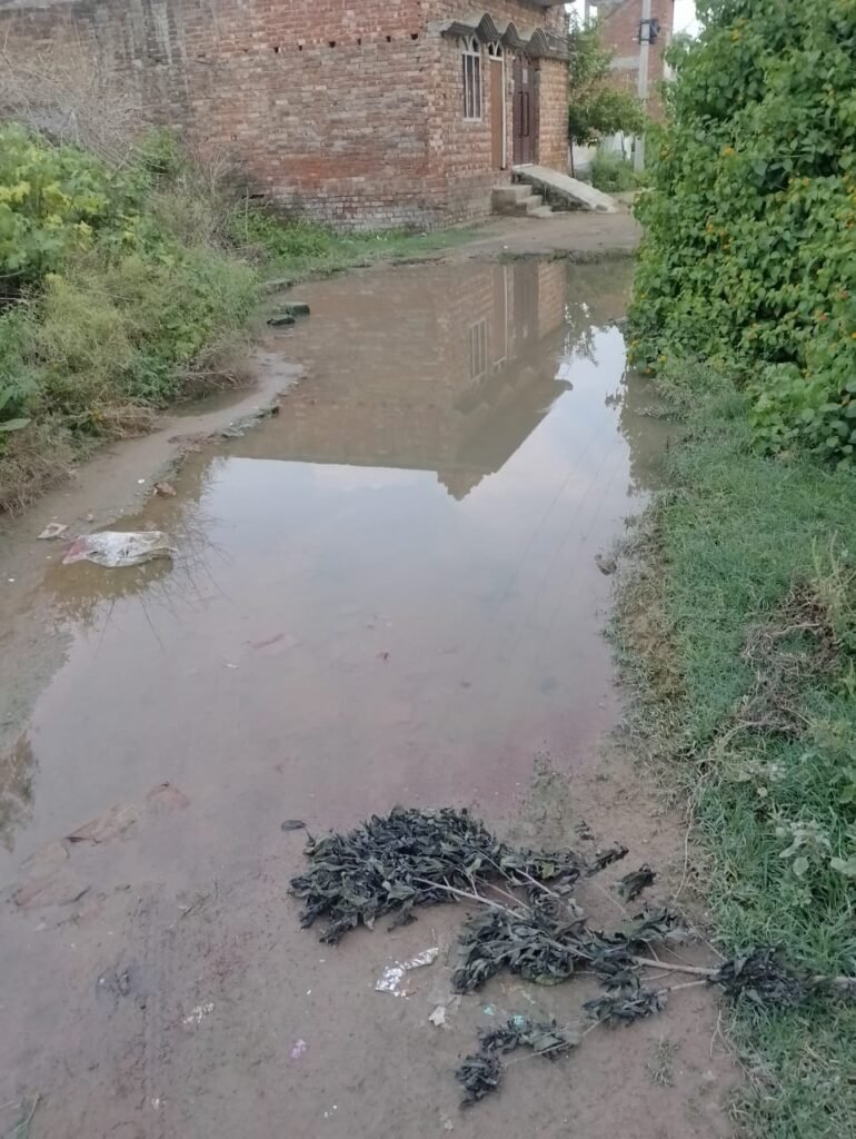 Lucknow: लखनऊ के दुबग्गा में गंदगी का अंबार, निवासियों की दुर्दशा 1 WhatsApp Image 2024 08 25 at 1.40.42 PM 1