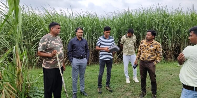 WhatsApp Image 2024 09 12 at 6.07.46 PM