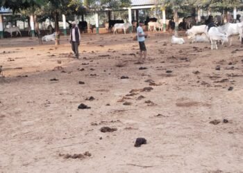 WhatsApp Image 2024 11 26 at 9.49.22 PM