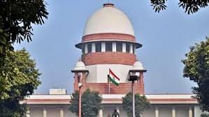 Supreme Court: महाकुंभ में हुए हादसे को लेकर सुप्रीम कोर्ट में जनहित याचिका; वीआईपी मूवमेंट समेत इन मुद्दों को उठाया गया 2 image 145