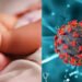 HMPV Virus ,China's Hmpv Virus