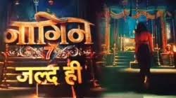 Naagin 7: एकता कपूर कब दिखाएंगी नागिन की पहली झलक? इस खास दिन रिलीज होगा नागिन 7 का पहला टीजर! 3 image 195