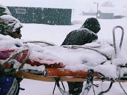 Chamoli Avalanche: बर्फ में फंसी जिंदगियां... मजदूरों को निकालने का काम जारी; माणा कैंप के पास हुआ था हिमस्खलन 3 image 1