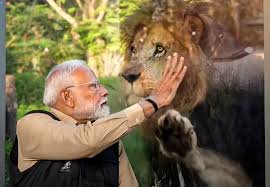 PM Modi in Vantara: PM मोदी ने वनतारा वाइल्डलाइफ का किया उद्घाटन, शावकों को खाना खिलाया; चिंपैंजी, जिराफ के साथ बिताए पल 2 image 39