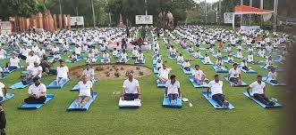 International Yoga Day 2025: गोरखपुर में CM योगी तो लखनऊ में डिप्टी सीएम बृजेश पाठक ने किया योग 3 image 288