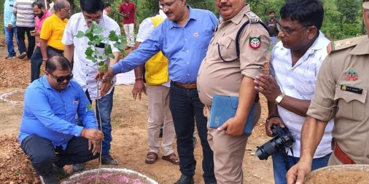 Sonbhadra: रोटरी क्लब रेणुकूट द्वारा वृहद वृक्षारोपण कार्यक्रम का आयोजन 1 WhatsApp Image 2025 07 11 at 9.01.02 AM