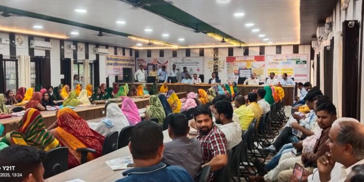 WhatsApp Image 2025 07 29 at 1.24.59 PM