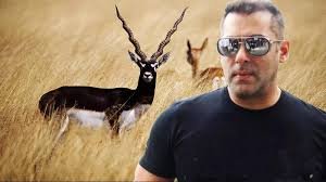 Salman Khan Black Buck Case: सलमान खान फिर फंसे मुसीबत में काले हिरण केस में राजस्थान हाईकोर्ट में सुनवाई, पाँच साल की हुई सजा 2 image 306
