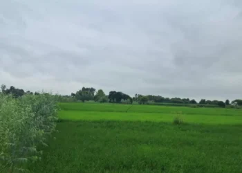 1910133 befunky collage 13 1