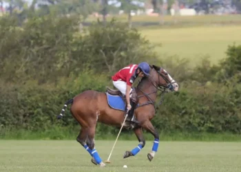 1912462 befunky collage