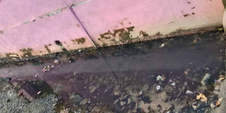Barabanki: अमोली कीरतपुर में जलभराव से फैली गंदगी, ग्रामीणों में आक्रोश 1 WhatsApp Image 2025 09 23 at 1.12.19 PM 1 2