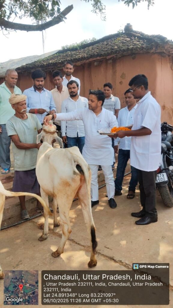 Chandauli: चंदौली लेड़हा गांव में आयोजित हुआ पंडित दीनदयाल उपाध्याय पशु आरोग्य मेला, सैकड़ों पशुओं का हुआ इलाज 1 WhatsApp Image 2025 10 06 at 1.41.09 PM 1