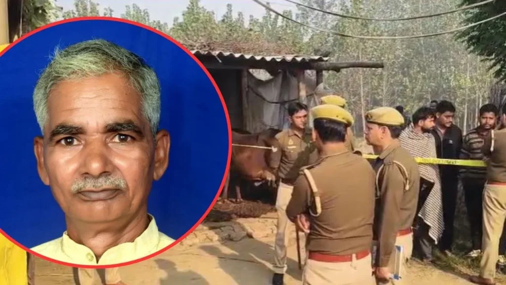 WhatsApp Image 2025 11 08 at 1.23.21 PM