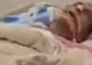 WhatsApp Image 2025 11 25 at 1.43.44 PM 1