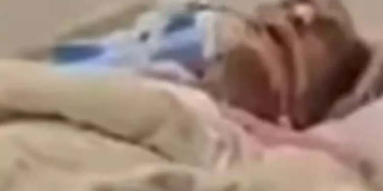 WhatsApp Image 2025 11 25 at 1.43.44 PM 1