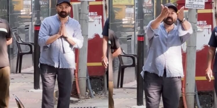 WhatsApp Image 2025 12 03 at 1.23.13 PM