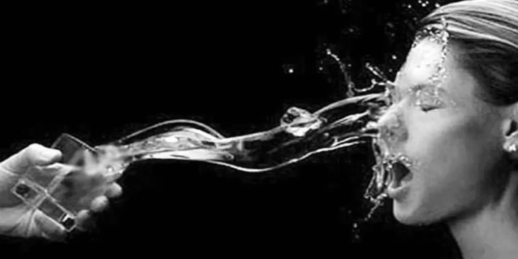 WhatsApp Image 2025 12 22 at 12.39.15 PM 3