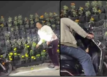 WhatsApp Image 2025 12 26 at 11.24.09 AM 1 1