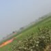Barabanki News: बाराबंकी में खनन माफियाओं के हौसले बुलंद,पुलिस–राजस्व विभाग की मिलीभगत के आरोप, अवैध मिट्टी खनन धड़ल्ले से जारी 2 WhatsApp Image 2025 12 30 at 7.42.21 PM
